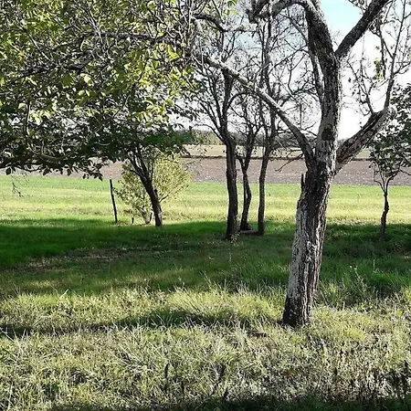 Semesterbostad Recently Renovated House With Private Pool - Minutes To Aubeterre Sur Dronne Bellon